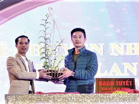 Hà Nội: Độc đáo vườn lan Lính Bay của chàng trai Lê Mạnh Chung