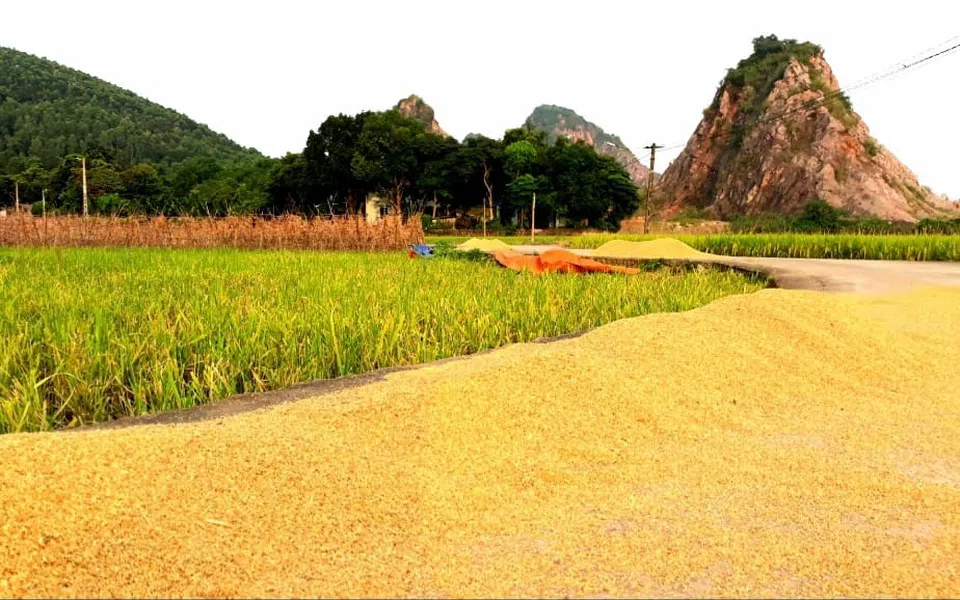 NHỚ QUÊ
