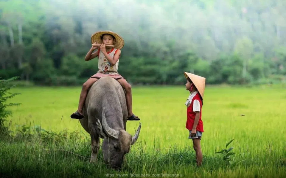 Suy tư về chấn hưng nền văn hóa